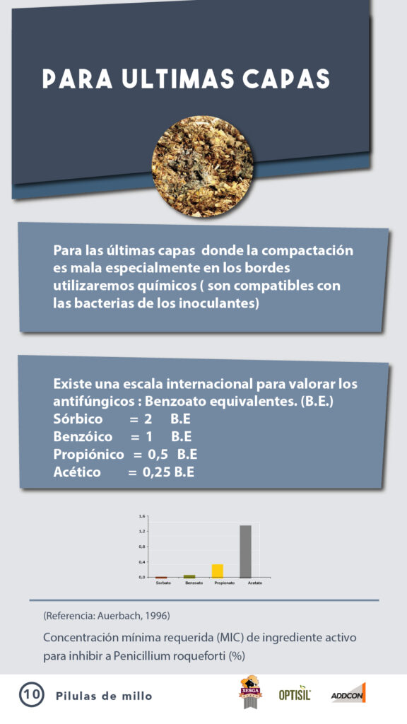 ADIL_PILDORA 10_ENSILADO-02