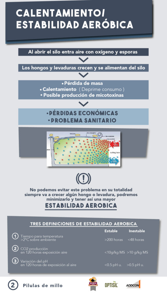 ADIL_PILDORA 2_ENSILADO-02