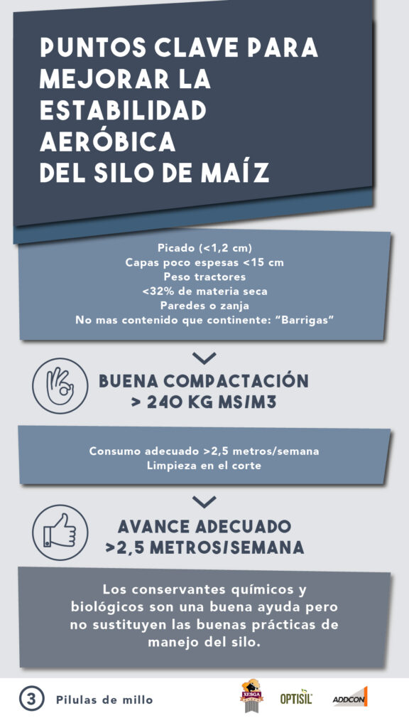 ADIL_PILDORA 3_ENSILADO-02 (1)