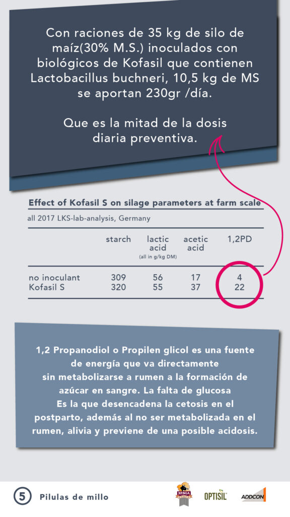 ADIL_PILDORA 5_ENSILADO-02