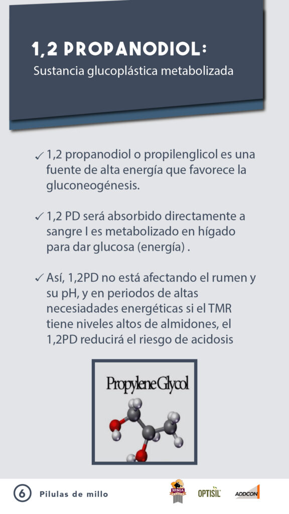 ADIL_PILDORA 6_ENSILADO-02