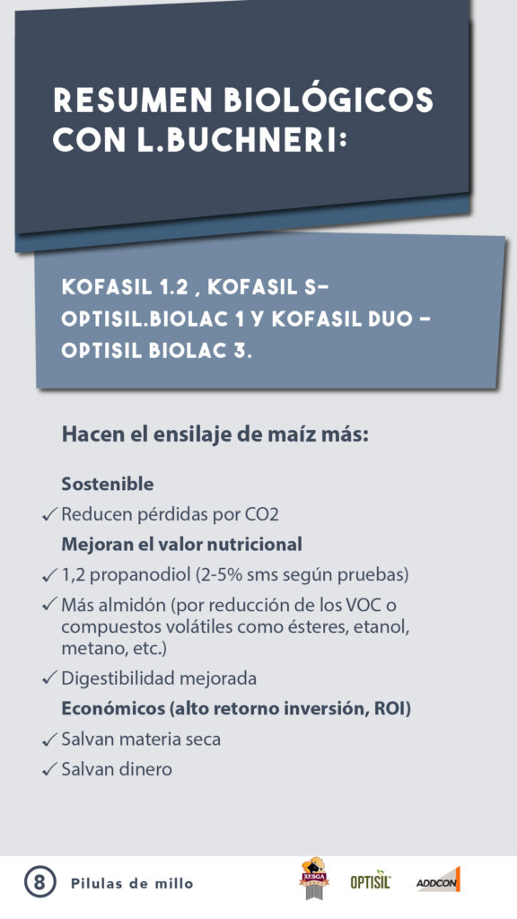 ADIL_PILDORA 8_ENSILADO-02