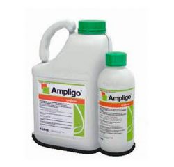 ampligo