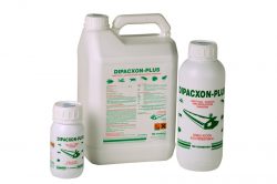 insecticida1