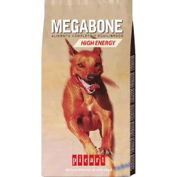 megabone-high-energy